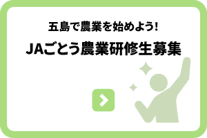 農業研修生募集